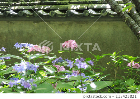 繡球寺 大地寺 繡球寺 大地寺 115423821