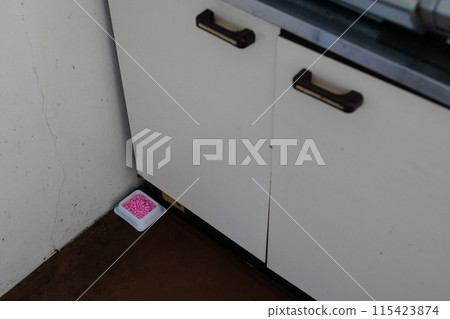 Rat poison in the kitchen, hidden on the mat under the gas stove Rat poison in the kitchen, hidden on the mat under the gas stove 115423874