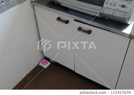 Rat poison in the kitchen, hidden on the mat under the gas stove 115423876