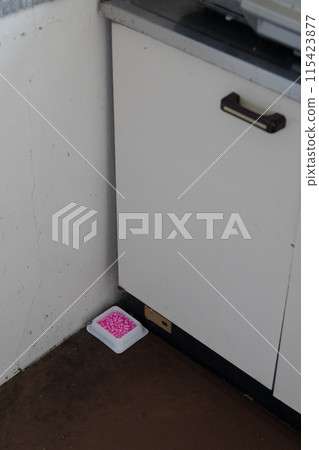 廚房裡放置的老鼠藥——放在瓦斯爐下的墊子上 115423877