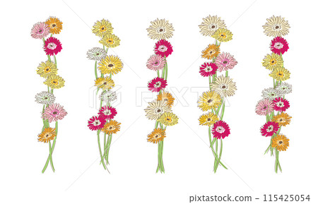 線條畫植物插圖。線描植物向量素材。手繪非洲菊夏季框架。 線條畫植物插圖。線描植物向量素材。手繪非洲菊夏季框架。 115425054