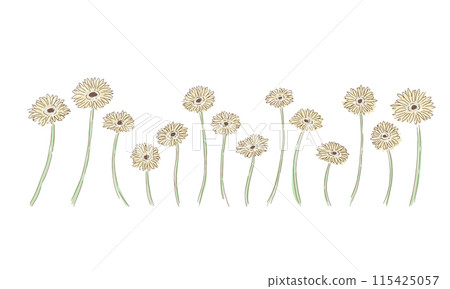 Line drawing plant illustration. Line drawing plant vector material. Hand drawn gerbera summer frame. 115425057