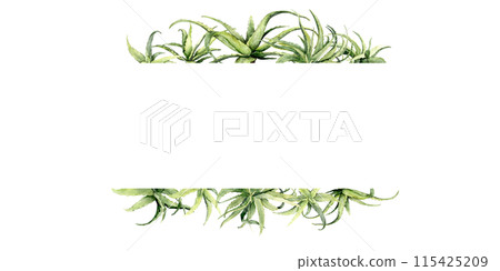 green aloe vera horizontal frame 115425209
