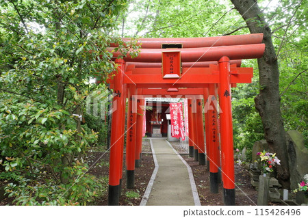 Torii Torii 115426496
