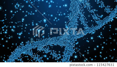 Image of dna over blue dots on navy background Image of dna over blue dots on navy background 115427631