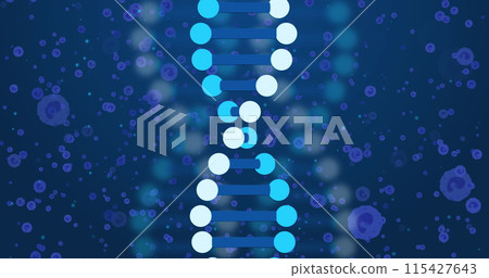 Image of dna over blue cells on navy background Image of dna over blue cells on navy background 115427643
