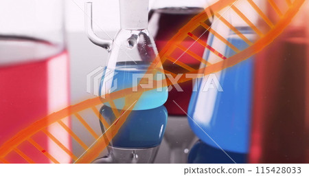 Image of dna strand over laboratory dishes on grey background Image of dna strand over laboratory dishes on grey background 115428033