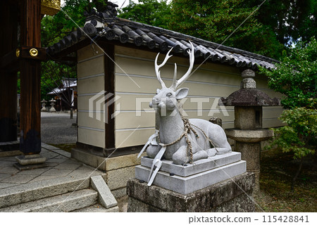 Tachiki Shrine Komaka (Divine Deer) Tachiki Shrine Komaka (Divine Deer) 115428841