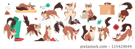 Cartoon cat in different mood. Pets behavior, cute domestic playful animal lifestyle, sleep, playfulness, protection and affection. Relaxing, lazy and afraid mammals. Tidy vector isolated set 115429044