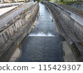 城市中的河流 115429307
