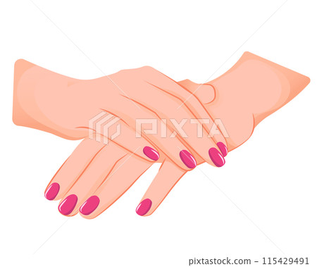 Nails beauty. hands with manicure, pink polished nails. Beauty concept, nail polish, nail design. Vector illustration for beauty salon isolated on white background. Nails beauty. hands with manicure, pink polished nails. Beauty concept, nail polish, nail design. Vector illustration for beauty salon isolated on white background. 115429491