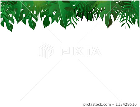 熱帶植物觀賞植物背景 熱帶植物觀賞植物背景 115429516