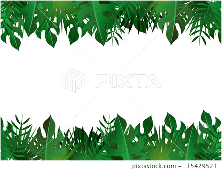 熱帶植物觀賞植物背景 熱帶植物觀賞植物背景 115429521