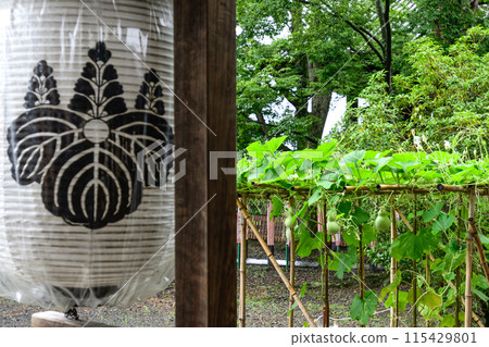 Toyokuni Shrine Sennari Gourd 115429801