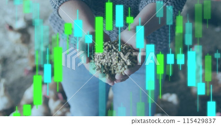 Image of financial data processing over caucasian woman feeding chickens 115429837