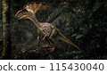 沼澤雙脊龍 No8 115430040