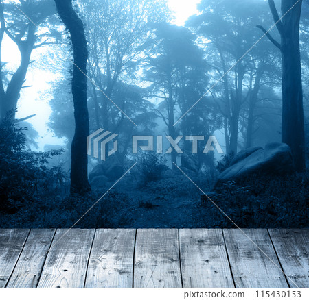 Halloween banner with scary forestland and blank wooden table top. Wood terrace flooring and night forest. Scary mysterious woodland. Photo toned in blue color 115430153