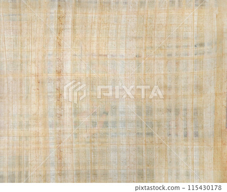 Egyptian papyrus paper texture. Horizontal or vertical background with sheet of papyrus. Copy space for text 115430178
