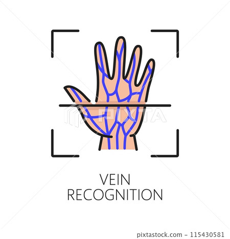 Vein recognition biometric identification or verification icon. Vector linear sign of hand with unique vascular pattern symbolizing advanced authentication technology for secure precise identification Vein recognition biometric identification or verification icon. Vector linear sign of hand with unique vascular pattern symbolizing advanced authentication technology for secure precise identification 115430581