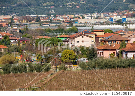 Rural view on the vineyards and farms, Riva del Garda, Italy Rural view on the vineyards and farms, Riva del Garda, Italy 115430917