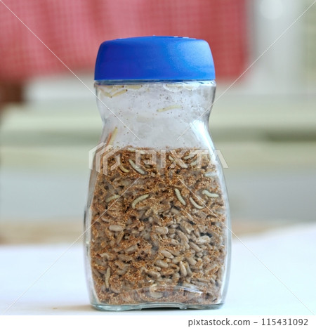 Glass with sunflower seeds full of moth larvae, Plodia interpunctella in the kitchen. 115431092