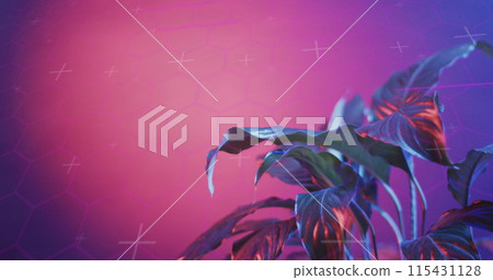 Image of scope scanning and data processing over plant with neon background Image of scope scanning and data processing over plant with neon background 115431128