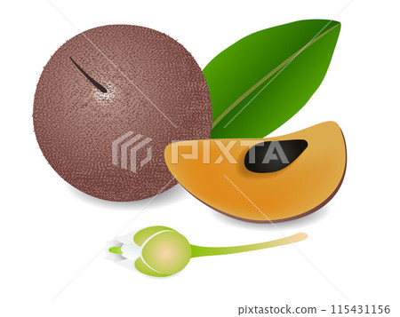 Whole fruit sapote with leaf slice and flower isolated on white background. 115431156