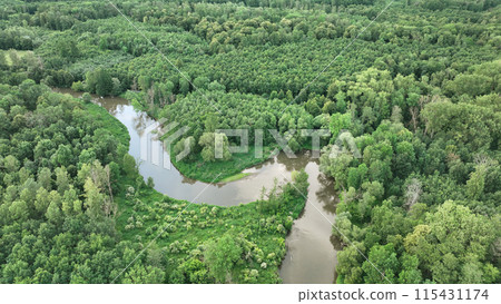 Floodplain river Morava meander drone aerial video shot delta in inland forest and lowlands wetland swamp, quadcopter view flying fly flight show, protected landscape area of Litovelske Pomoravi 115431174