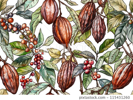 Coffee and chocolate. Vector illustration. In botanical style 115431260