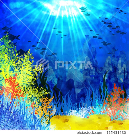 Coral reef and fish shadows 115431380