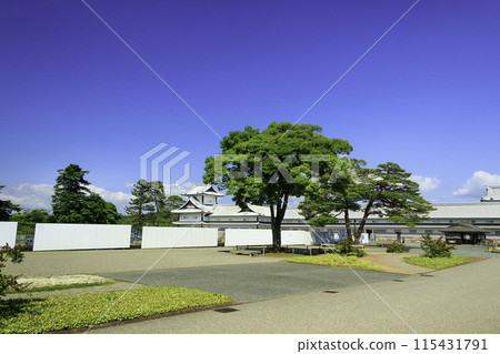 park with blue sky 115431791