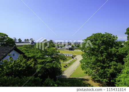 Park with blue sky 115431814
