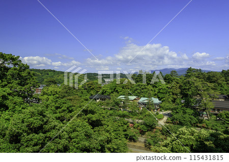 Park with blue sky Park with blue sky 115431815