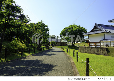 藍天下的公園 藍天下的公園 115431825
