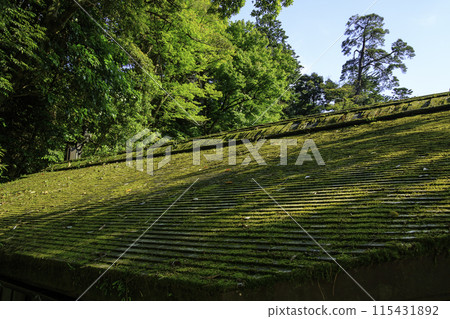 藍天下的公園 藍天下的公園 115431892