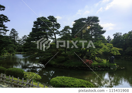 Scenery with a pond Scenery with a pond 115431908