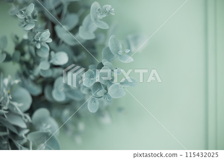 Eucalyptus wreath on a green door Eucalyptus wreath on a green door 115432025