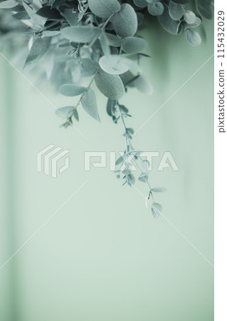 綠色門上裝飾的尤加利花環 綠色門上裝飾的尤加利花環 115432029