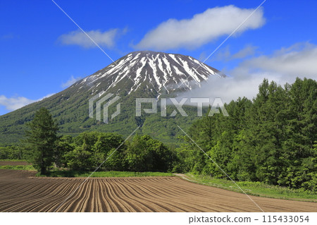 Farms and Mt. Yotei as seen from Kitaoka, Kyogoku-cho, Hokkaido Farms and Mt. Yotei as seen from Kitaoka, Kyogoku-cho, Hokkaido 115433054