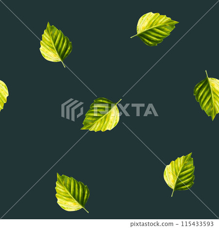 Watercolor seamless pattern with green autumn and summer leaves. Illustration isolated on background. Clip art for designers, travel business, postcards, scrapbooking, covers, invitations, posters and Watercolor seamless pattern with green autumn and summer leaves. Illustration isolated on background. Clip art for designers, travel business, postcards, scrapbooking, covers, invitations, posters and 115433593