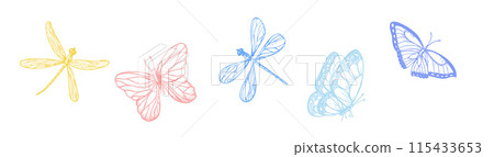 Vector set of butterflies and dragonflies. Hand painted linear insects. Graphic clipart isolated on background. Botanical and wedding illustration. For designers, invitations, decoration, postcards, Vector set of butterflies and dragonflies. Hand painted linear insects. Graphic clipart isolated on background. Botanical and wedding illustration. For designers, invitations, decoration, postcards, 115433653