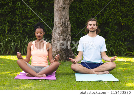 Diverse couple, a young African American woman and Caucasian man, meditate in a serene garden 115433880