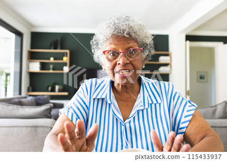 Senior biracial woman with gray hair and glasses gestures with her hands on a video call 115433937