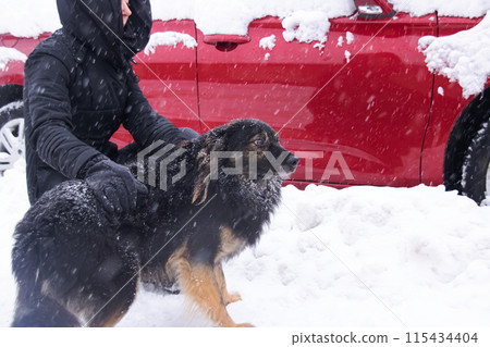A person is seen petting a dog in the snowy outdoors beside a red car 115434404