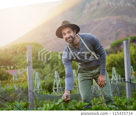 Man, plants and vegetables for farming, agriculture and sustainability with growth of leaves or spinach in field. Farmer or gardener in portrait for green harvest, gardening or small business outdoor 115435714