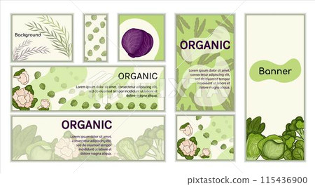 Set Cabbage banners vector. backgrounds Horizontal, vertical, square theme harvest, vegetables. Set Cabbage banners vector. backgrounds Horizontal, vertical, square theme harvest, vegetables. 115436900