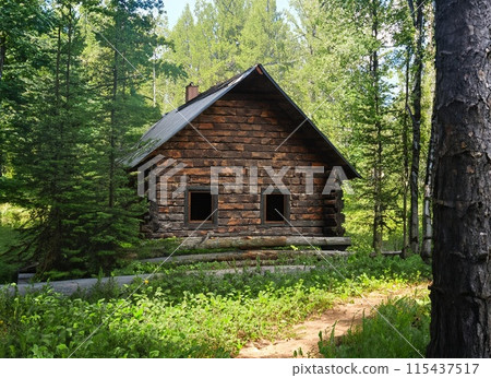 Little house in the forest 115437517