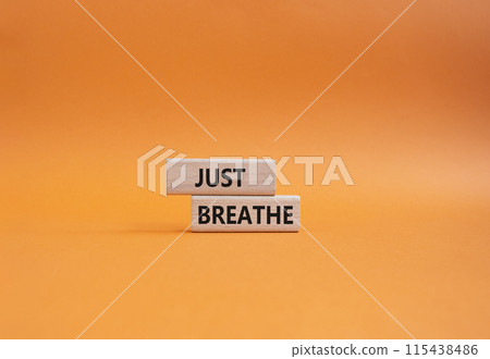 Just Breathe symbol. Wooden blocks with words Just Breathe. Beautiful orange background. Business and Just Breathe concept. Copy space. Just Breathe symbol. Wooden blocks with words Just Breathe. Beautiful orange background. Business and Just Breathe concept. Copy space. 115438486