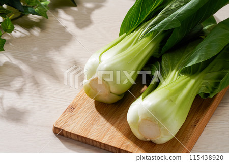 白菜 白菜 115438920