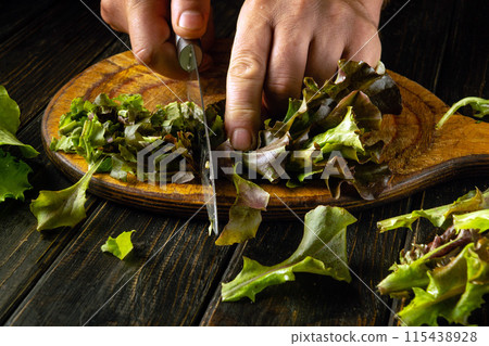 A cook prepares a salad of cos lettuce leaves with his hands on a kitchen table. A knife in the cook hand is used to cut romaine violet on a wooden board 115438928